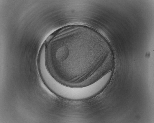 X0000111241084200907231523