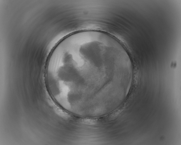 X0000111241086200907231523