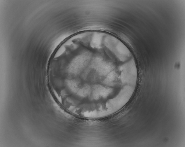 X0000111241087200907231523