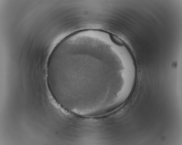 X0000111241088200907231523