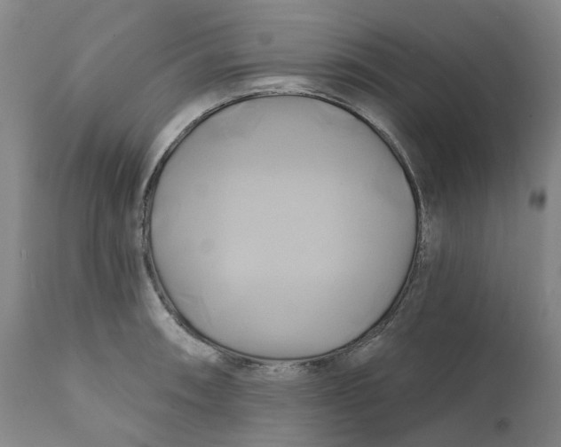 X0000111241090200907231522