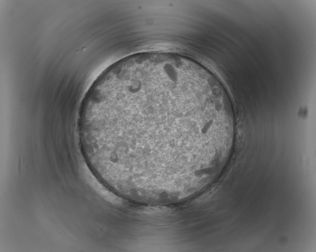 X0000111241091200907231522