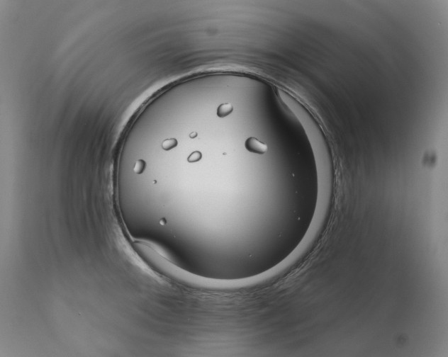 X0000111241092200907231522