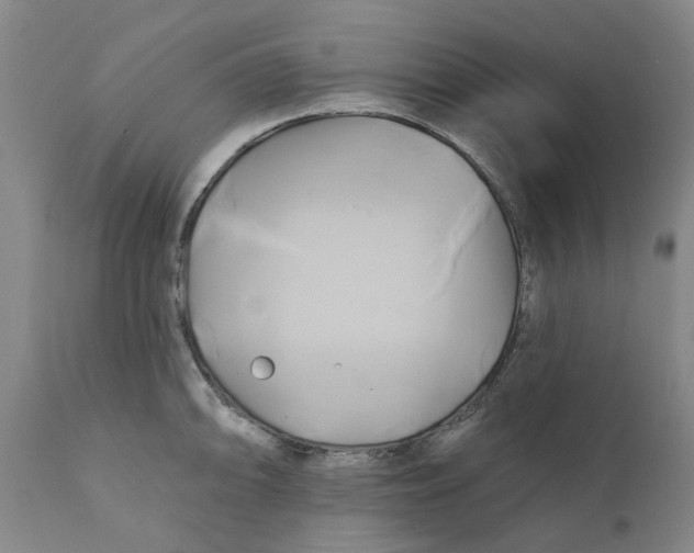 X0000111241094200907231522