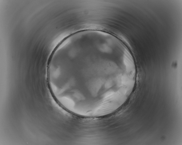 X0000111241095200907231522