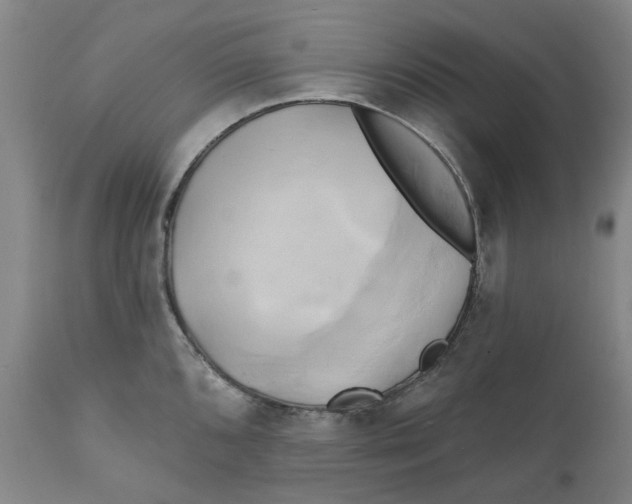 X0000111241096200907231522