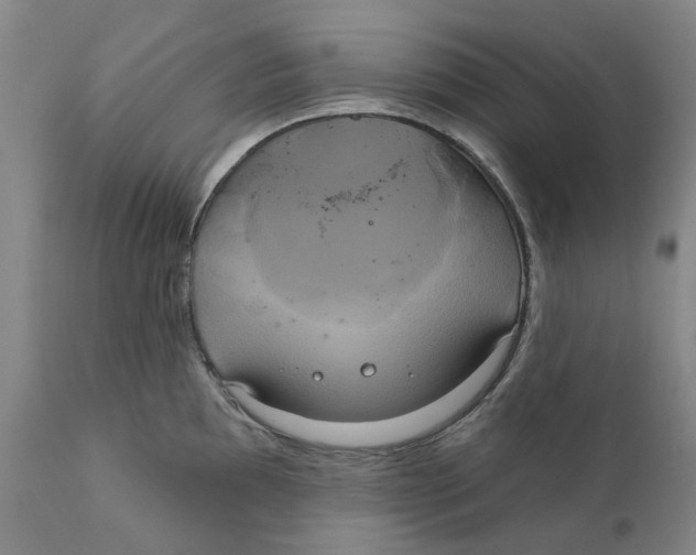 X0000111241097200907231522