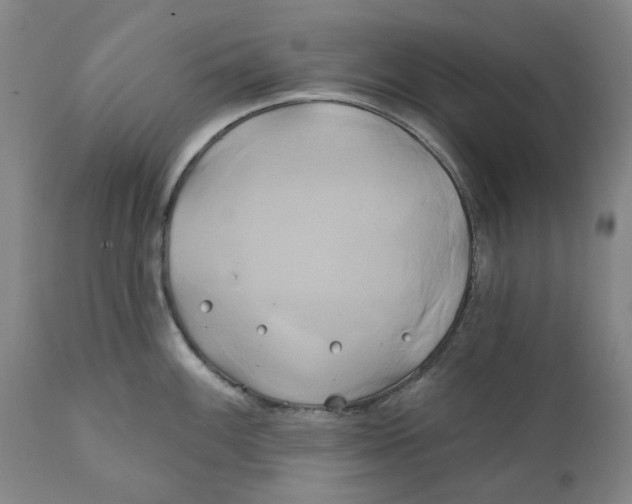 X0000111241100200907231522