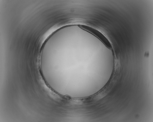 X0000111241101200907231522