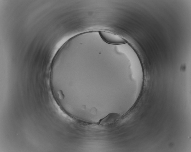 X0000111241102200907231522