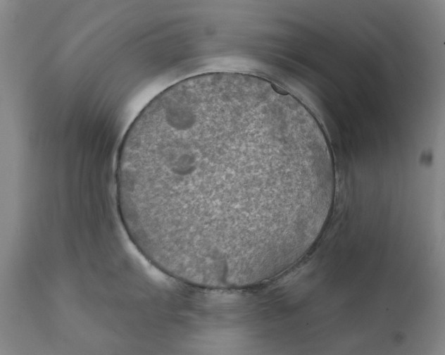 X0000111241103200907231522