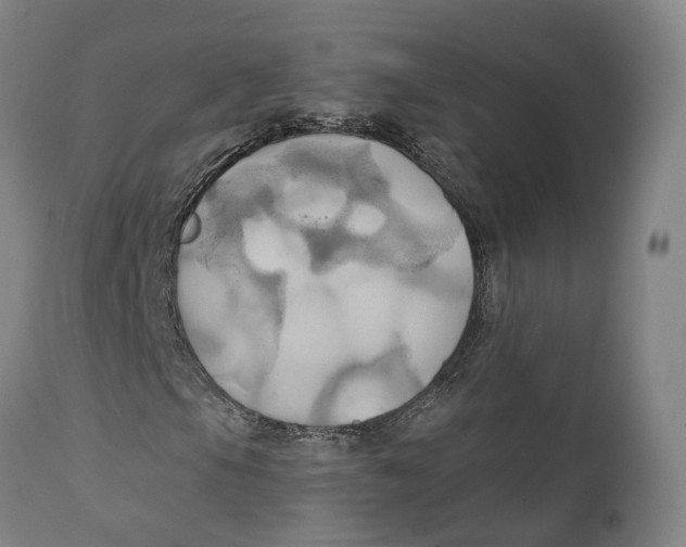 X0000111241105200907231521