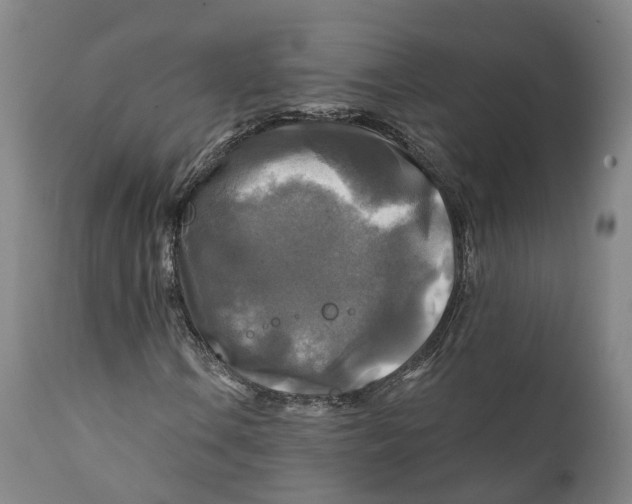 X0000111241106200907231521