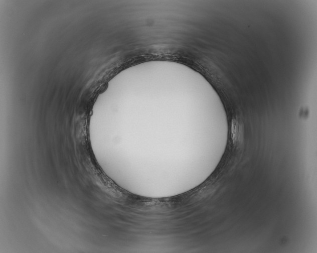 X0000111241107200907231521