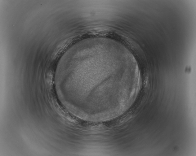 X0000111241108200907231521