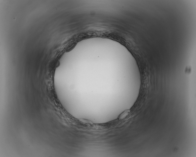 X0000111241109200907231521