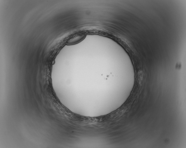 X0000111241111200907231522