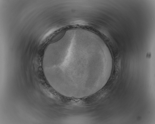 X0000111241112200907231522