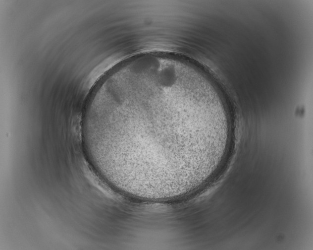 X0000111241113200907231522