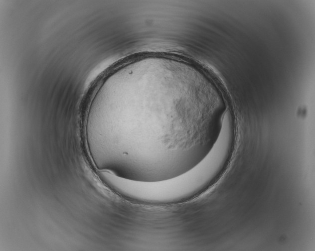 X0000111241114200907231522