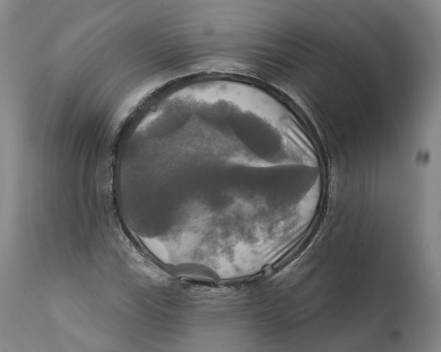 X0000111241115200907231522