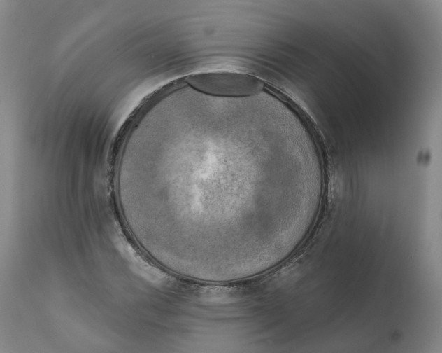 X0000111241116200907231522