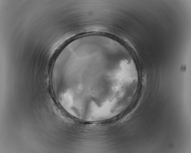 X0000111241117200907231522