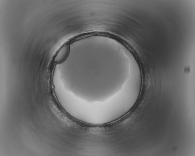 X0000111241118200907231522