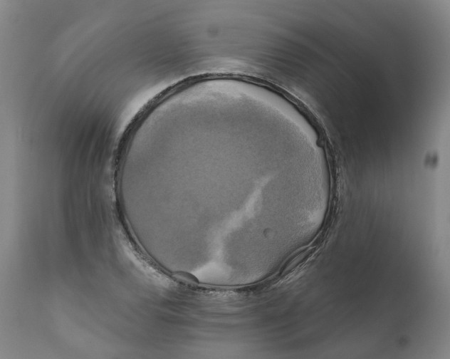 X0000111241120200907231522