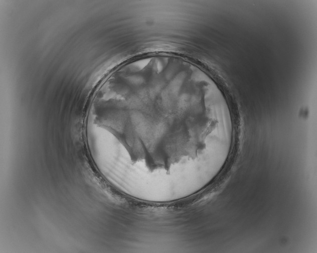 X0000111241121200907231522