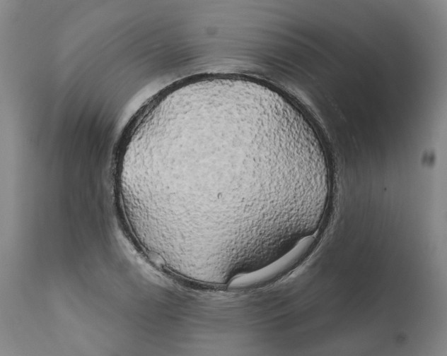 X0000111241122200907231522