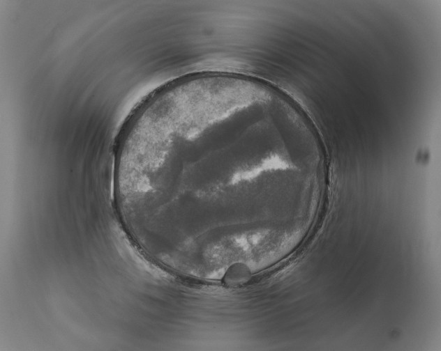 X0000111241123200907231522