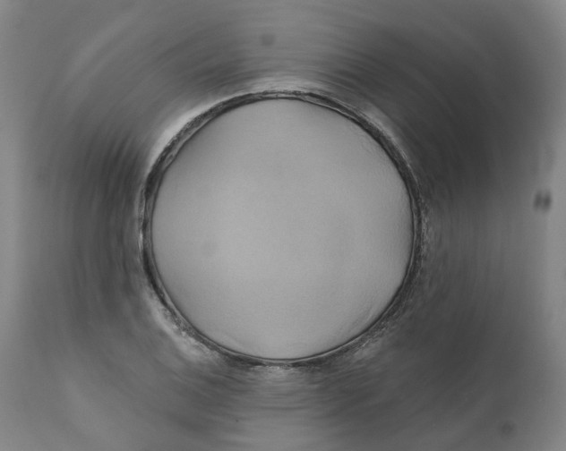 X0000111241124200907231522