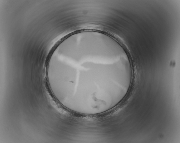 X0000111241125200907231522