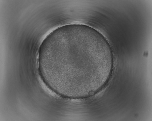 X0000111241126200907231522