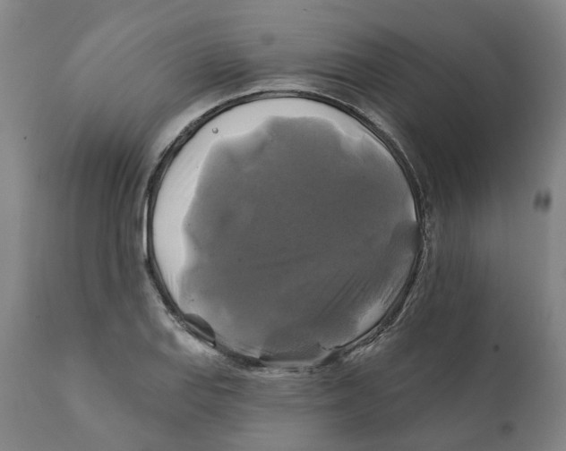 X0000111241127200907231522