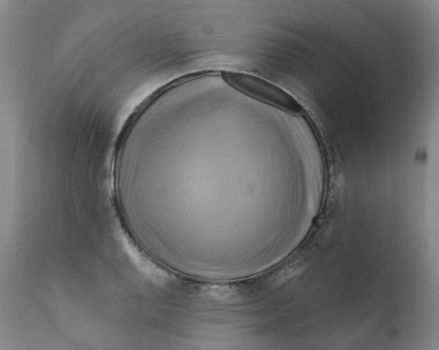 X0000111241128200907231522