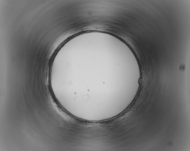 X0000111241131200907231522