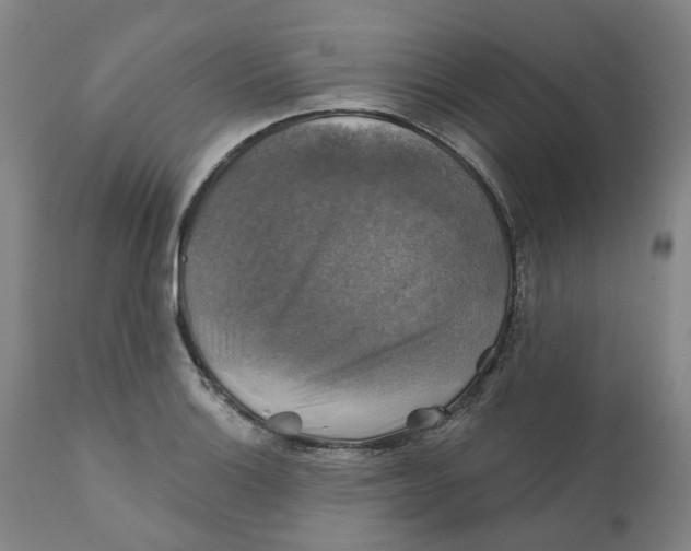 X0000111241132200907231522