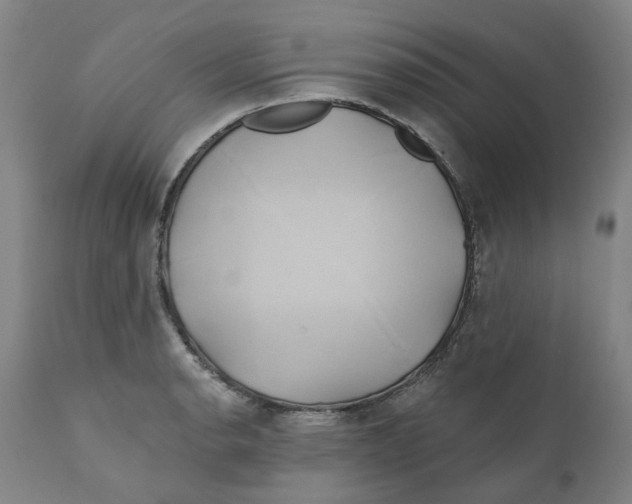 X0000111241134200907231522