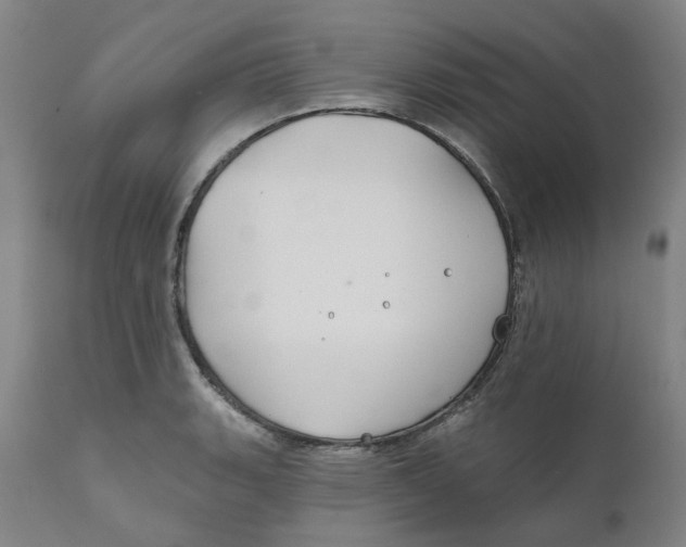 X0000111241135200907231522