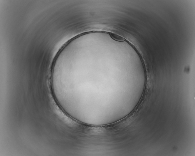 X0000111241136200907231522