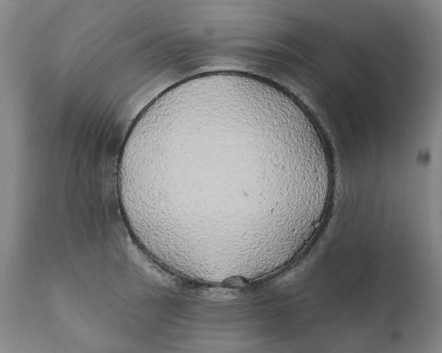 X0000111241137200907231522