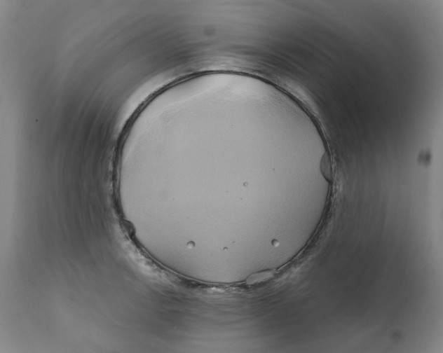 X0000111241138200907231522