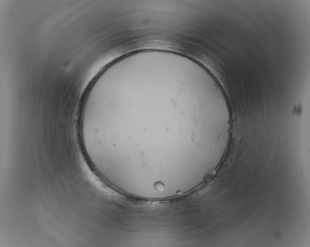 X0000111241139200907231522