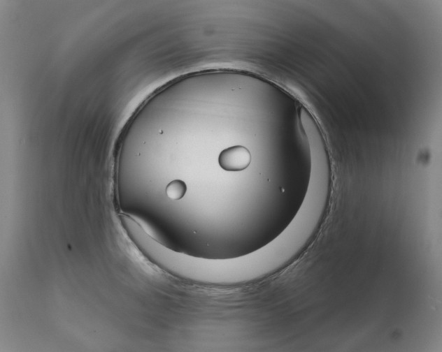 X0000111241140200907231522