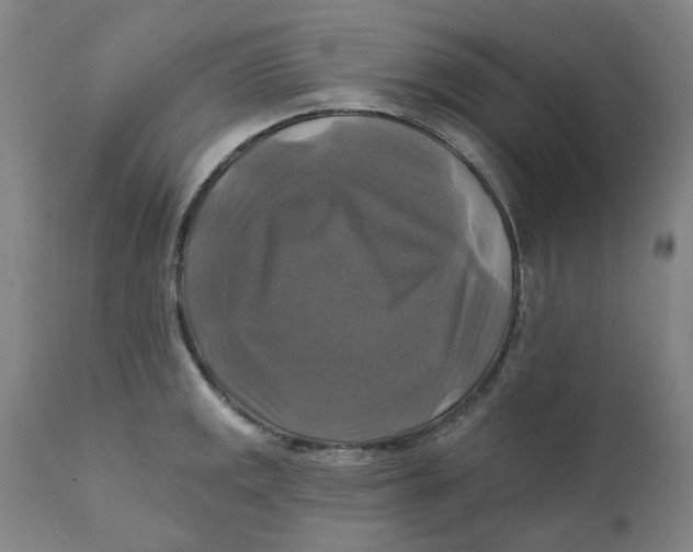 X0000111241141200907231522