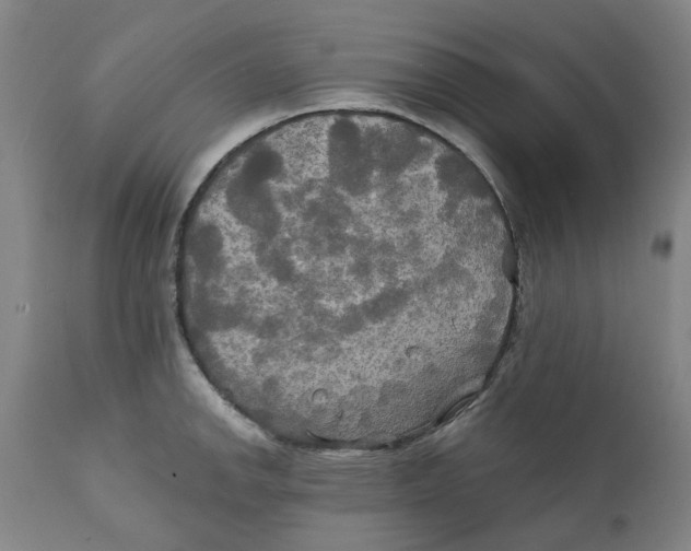 X0000111241142200907231522