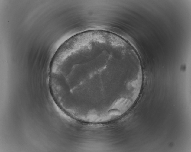 X0000111241143200907231522