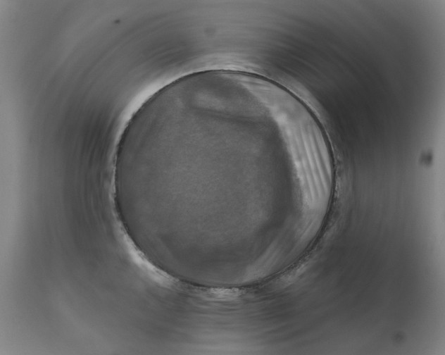 X0000111241144200907231522